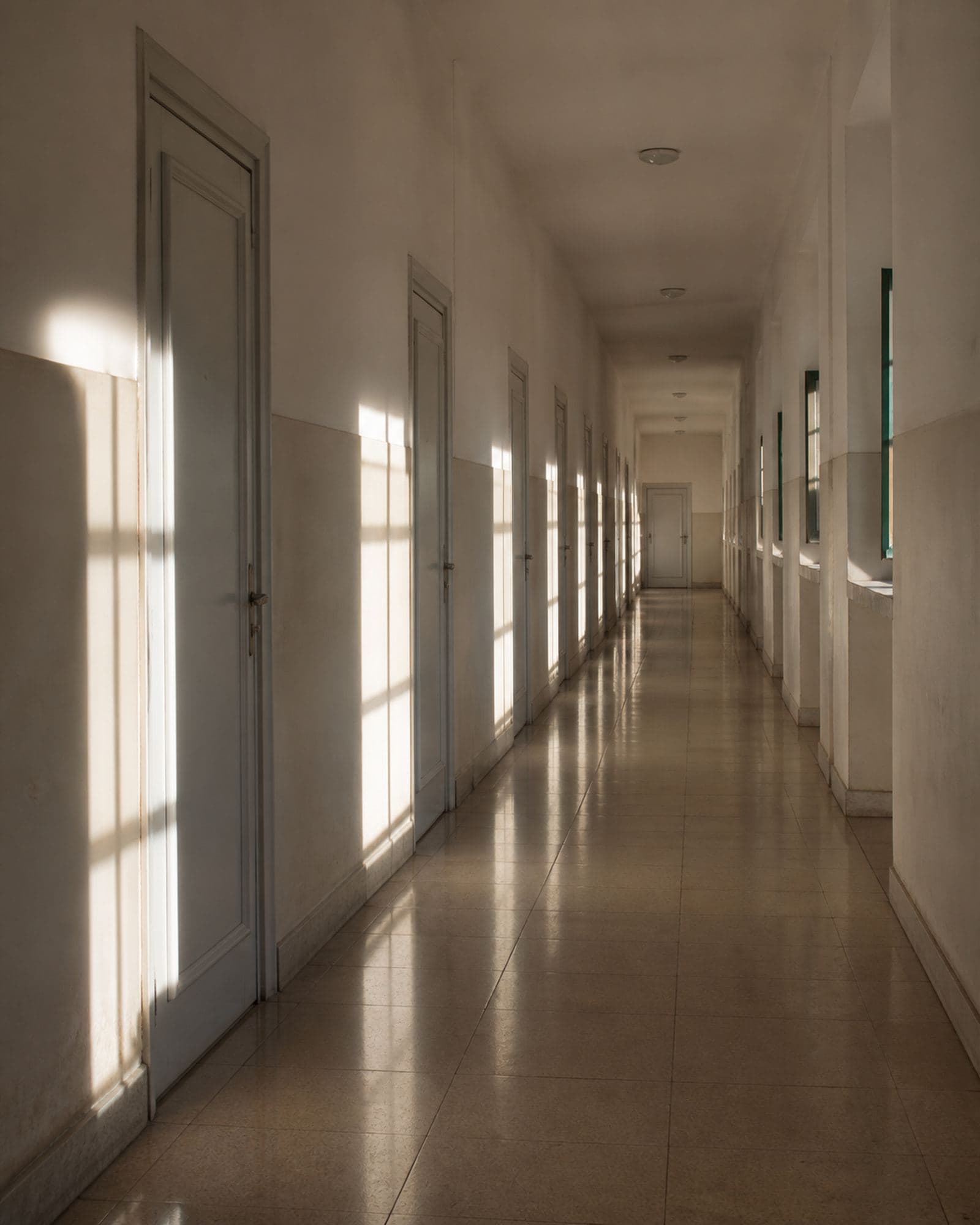 Les locaux de Ecole Darwin